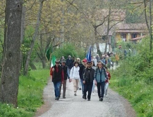 Sui passi della costituzione