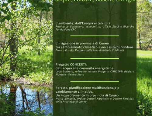 Risorse il-limitate?