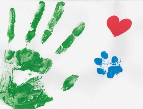 Abbi cura di me. Uomini e animali si prendono reciprocamente cura